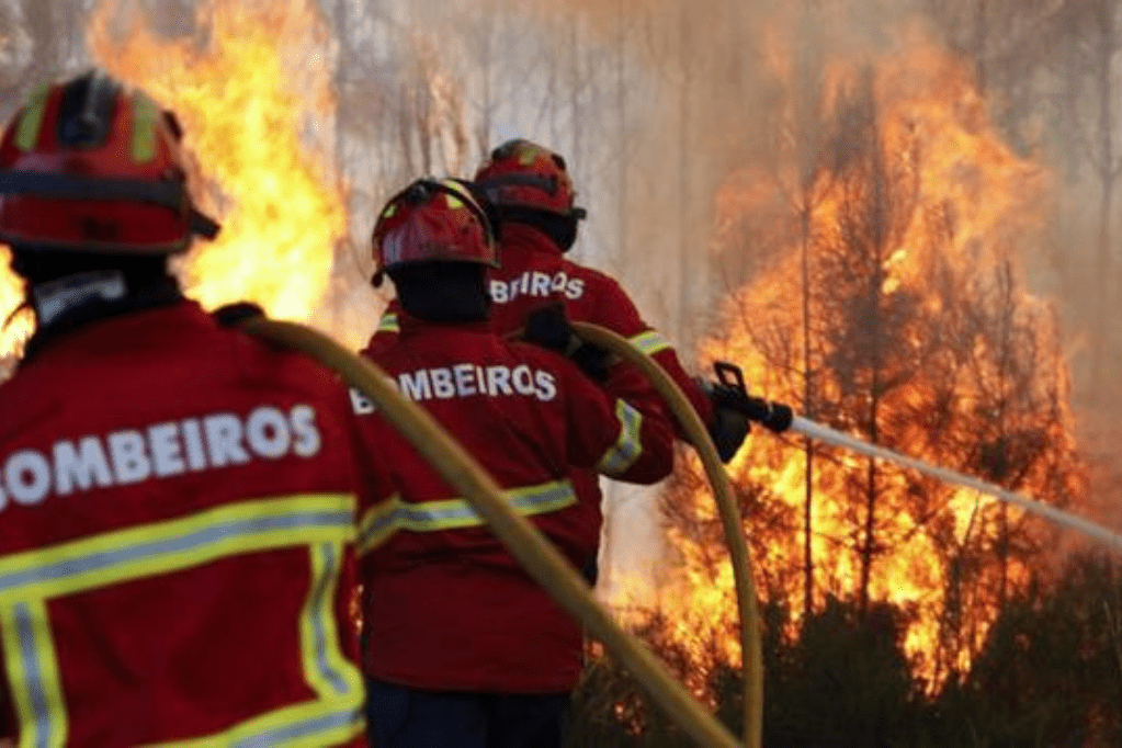 Mangueira de Incêndio e sua importância